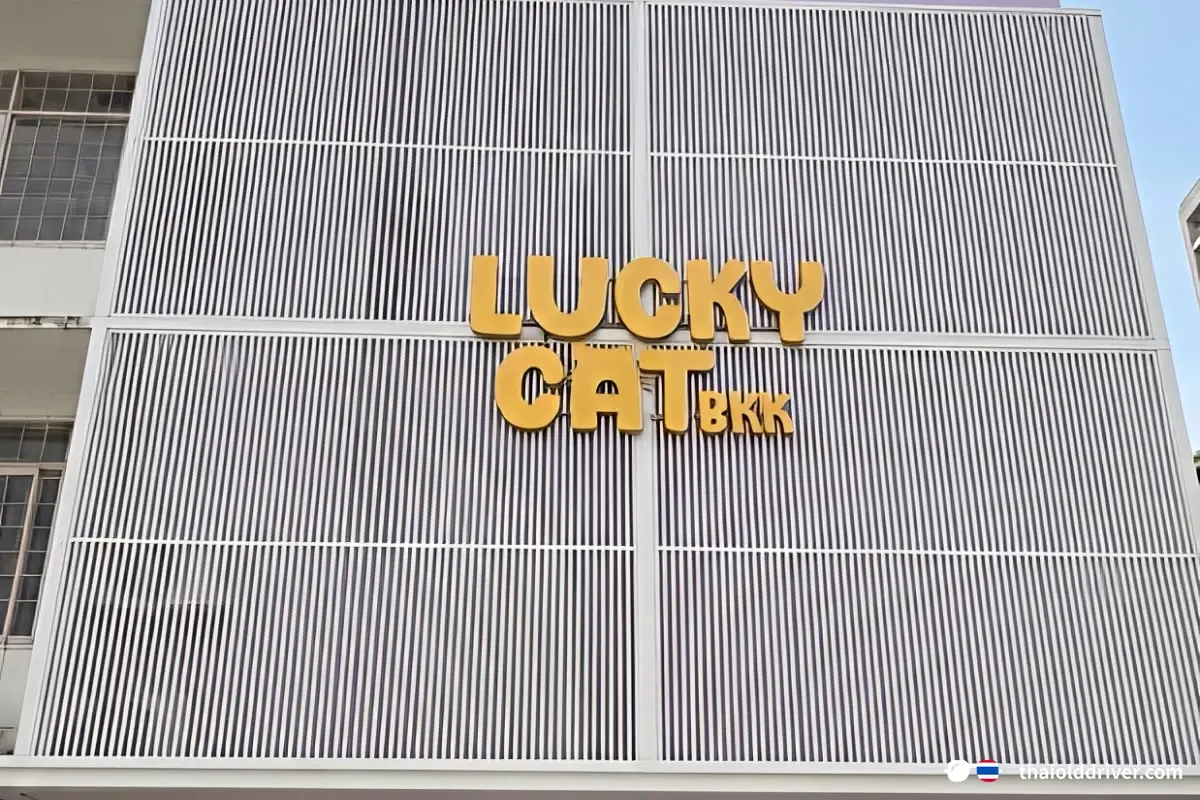 Lucky Cat Massage