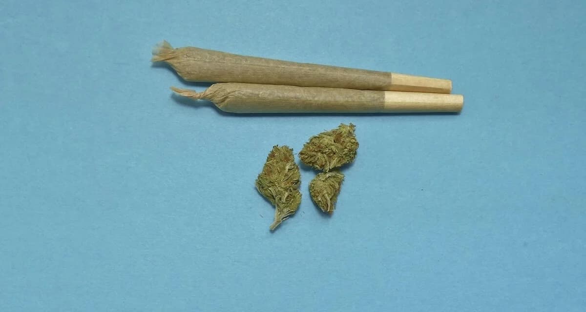 What is Weed Sex? How Does Marijuana Change Your Sexual Experience?